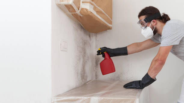 Professional Attic Mold Remediation technician working in Colonia, NJ