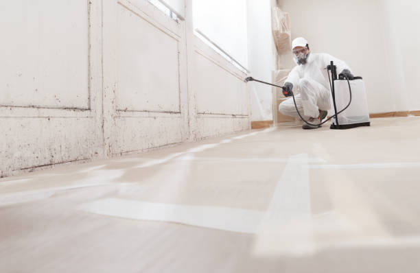 24/7 Emergency Attic Mold Remediation experts in Colonia, NJ